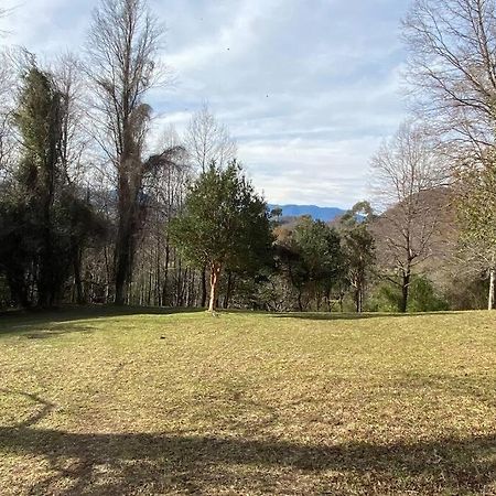 Acogedora Cabana Al Borde Del Rio Claro Villa Pucón Dış mekan fotoğraf