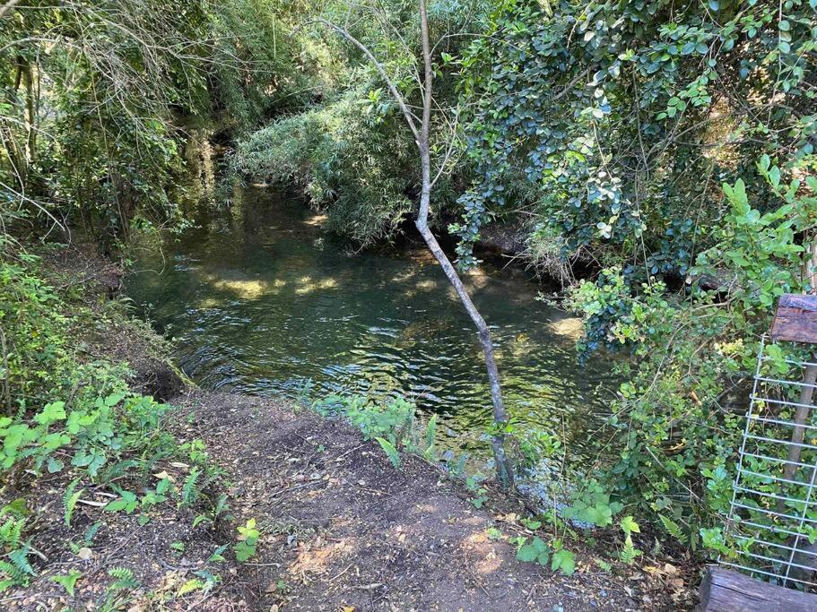 Acogedora Cabana Al Borde Del Rio Claro Villa Pucón Dış mekan fotoğraf