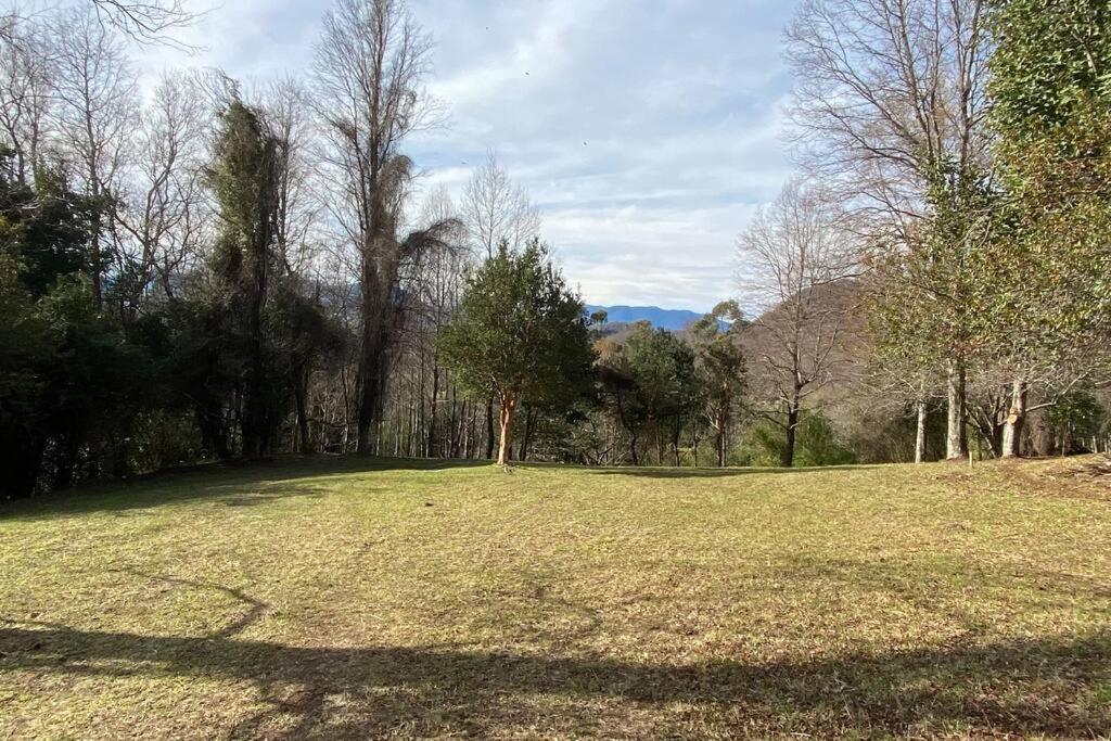 Acogedora Cabana Al Borde Del Rio Claro Villa Pucón Dış mekan fotoğraf